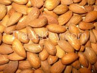 Almonds Nuts, Apricot Nuts, Pistachio Nuts, Betel Nuts, Cashew Nuts, Hazelnuts