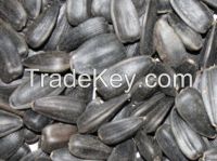 Sunflower Seeds, Rape Seeds, Castor Seeds, Flax Seeds