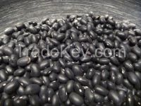 Black Kidney Beans