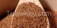 Teff Organic Whole Grains