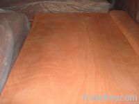 Sell Okoume Veneer