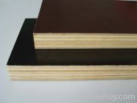 Sell construction plywood factory