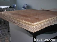 Sell 1160 2400 28mm plywoods