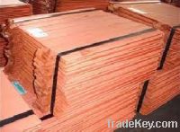 Sell electrolytic copper