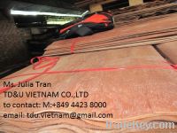 Sell eucalyptus core veneer from Vietnam