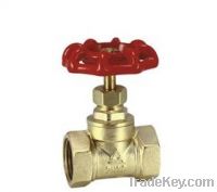 Sell brass gate valve