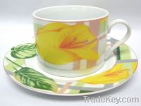 Sell cup saucer