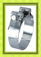 Sell Stainless Steel Power Clamp