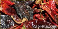 Sell Dried Chilis