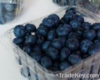 Sell Organic Blueberries