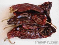 Sell Chile Guajillo