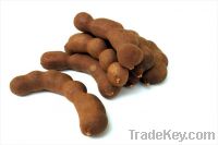 Sell Dried Tamarindo