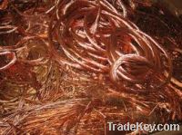 Copper Scraps Suppliers | Copper Scrap Exporters | Copper Scrap Manufacturers | Cheap Copper Scrap | Wholesale Copper Scraps | 99.99% Copper Scrap| Mulberry Copper Scrap | Cheap Copper Scrap | High Purity Copper Scrap | Bulk Copper Scraps | Copper Scrap B