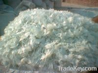 Sell pet bottles scraps, pet flakes scraps, HDPE scraps, LDPE scraps etc