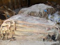 WET SALTED COW HIDES FOR SALE