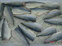 Frozen Mackerel Fillets