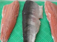 Frozen Salmon fish and Salmon Fillet