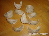 Sell Swallow Bird Nest