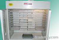 Sell automatic chicken incubator