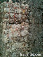 Sell HDPE milk bottle bales