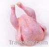 PROCESSED FROZEN HALAL WHOLE CHICKEN, FEETS, PAWS