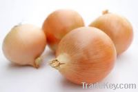 Sell Onions, 