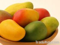 Sell Mango, 