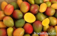 Sell  Fresh Mangos