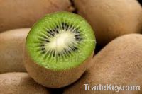 Sell  Fresh Kiwi Fruit