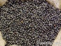 Sell Black Lentils