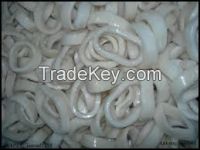 SQUID, FROZEN, WHOLESALE, LOLIGO OR ILLEX