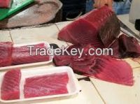 WHOLE ALBACORE TUNA, BLED AND FROZEN