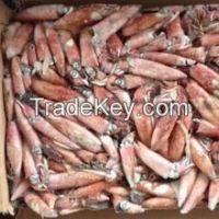 SQUID, FROZEN, WHOLESALE, LOLIGO OR ILLEX