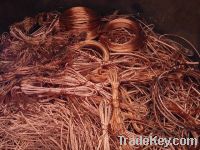 Copper Scraps Suppliers | Copper Scrap Exporters | Copper Scrap Manufacturers | Cheap Copper Scrap | Wholesale Copper Scraps | 99.99% Copper Wire Scrap| Millberry Copper Scrap | Cheap Copper Scrap | High Purity Copper Scrap | Bulk Copper Scraps | Copper S