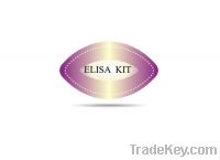 Sell elisa kit,