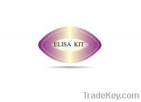 Sell Human CXC-chemokine ligand 16(CXCL16)ELISA Kit