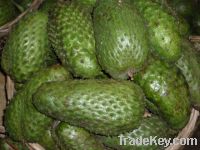 Sell Soursop