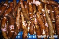 Sell frozen manioc