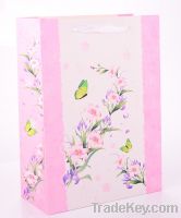 Hot Sell Profusion Colour Of Paper Gift Bag