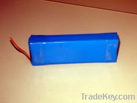 Sell Polymer Lithium Battery (24v 36v 48v)