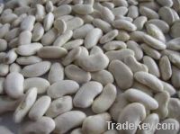 Sell Kidney beans, white flat beans, broad beans