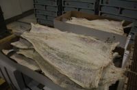 Dry Salted Fish Bacalhau , cod , saithe