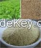 100% Organic Perilla Seed Extract powder