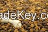 Pet food, Mini Crystal Chicken Jerky & Rawhide pet treats,