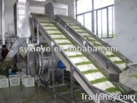 Sell vegetable and fruit processing line