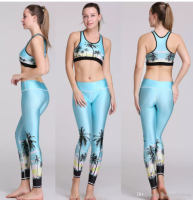 Slim Yoga Set Exercise Fitness Sport Suit High Waist Elastic Sport wear Breathable Quick Dry Two-piece Suit Bodybuilding