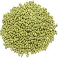 Sell Green Mung Beans