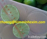 supply fresh lemon