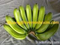 Supply fresh banana