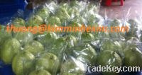 Sell Guava fruit